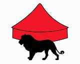Lion in circus 