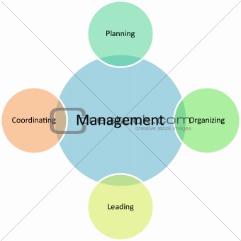 Management business diagram
