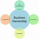 business ownership management diagram