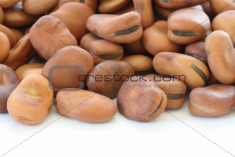 Dried brown beans on white background