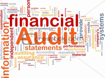 Financial audit is bone background concept