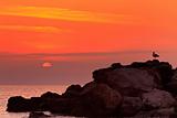 sunrise on a rocky shore