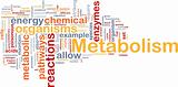 Metabolism metabolic background concept