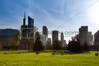 Green city of Chicago
