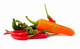Different kinds of hot pepper