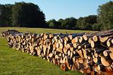 Wooden stumps