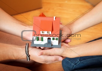 House in hands