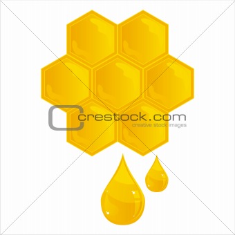 honeycombs isolated on white