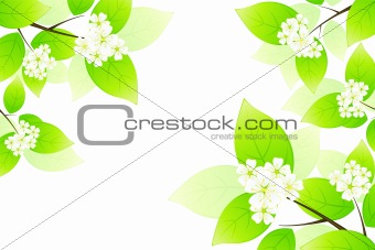Green leaves and flowers