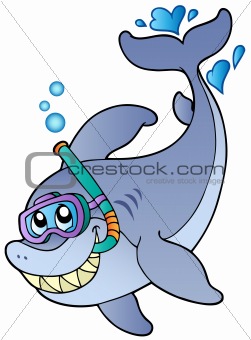 Shark snorkel diver