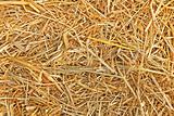 The texture of straw 