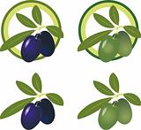green and black olives. Vector Icon Set