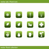 Vector floral icon collection