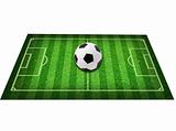 Real green grass soccer field background