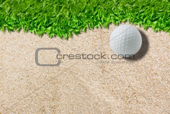 White golf ball on green ( real green grass  background)