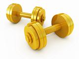 Golden fitness exercise equipment dumbbells weight isolated on white