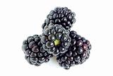  blackberry