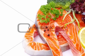  salmon 