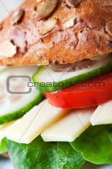 closeup of a cheese sandwich