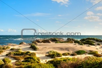 Dunes along the coast