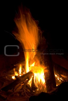 Campfire in the Dark