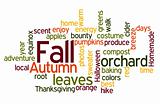Fall Colors Wordcloud