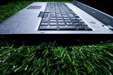 laptop in grass