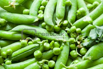 2646 Green peas(51).jpg