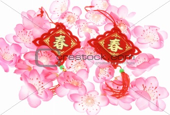 Chinese New Year ornaments and plum blossoms