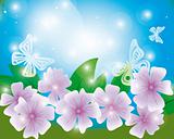 Summer background with butterflies and flowers
