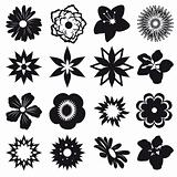 A set of silhouettes of flowers