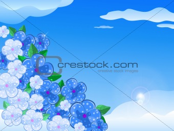 Blue White Flower In the Sky
