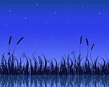 Lake Night Scene With Grass Silhouette