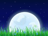 Huge moon with grass meadow