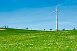 Wind Turbine in Spring Meadow