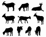 goat silhouettes