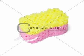 Colorful shower sponge 