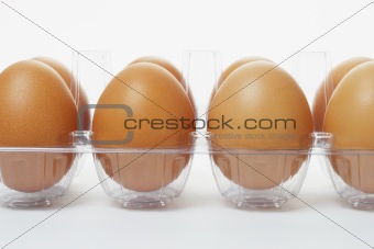Fresh eggs in clear plastic tray