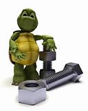 tortoise with a nut and bolt