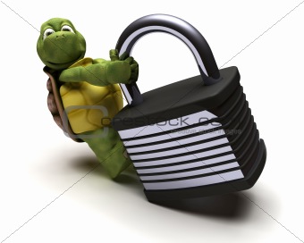 Tortoise with padlock