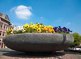 planter with pansies
