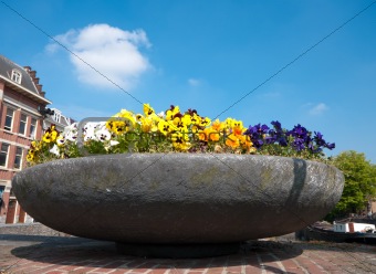 planter with pansies