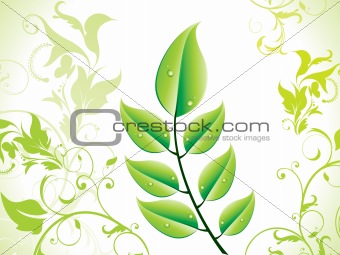 abstract green eco leaf