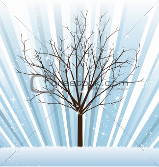 Winter vector tree from seasonal set