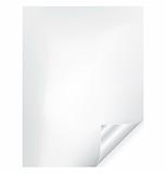 Vector blank paper sheet / page with silver corner  curl