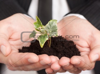 man in a business suit holding a green Sapling