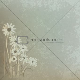 abstract floral background with chamomiles