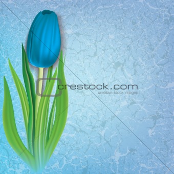 abstract floral background with tulip