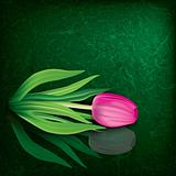 abstract floral illustration with tulip