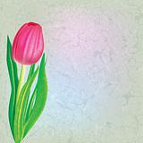 abstract floral illustration with red tulip